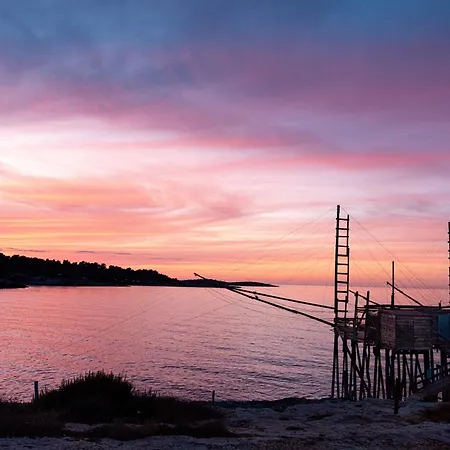 Le Orchidee 3* فيستَ