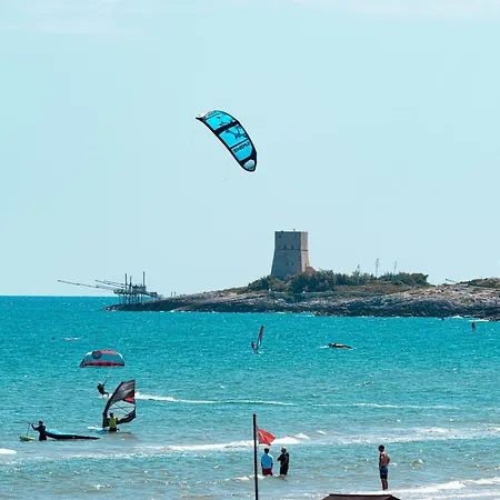 Le Orchidee فيستَ