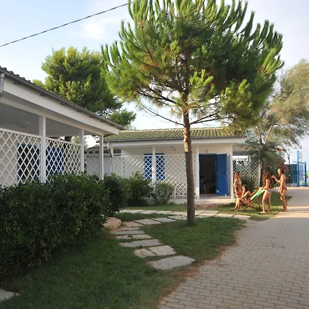 Le Orchidee فيستَ