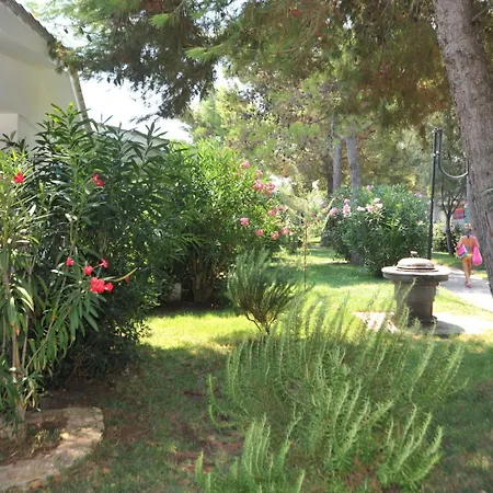 Le Orchidee فيستَ