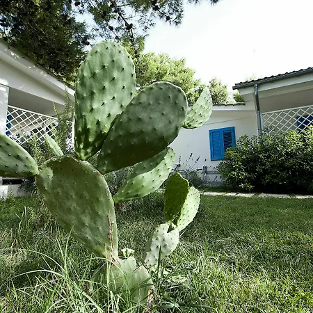 Aparthotel Le Orchidee Vieste