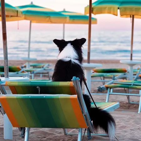 Le Orchidee Aparthotel 3*