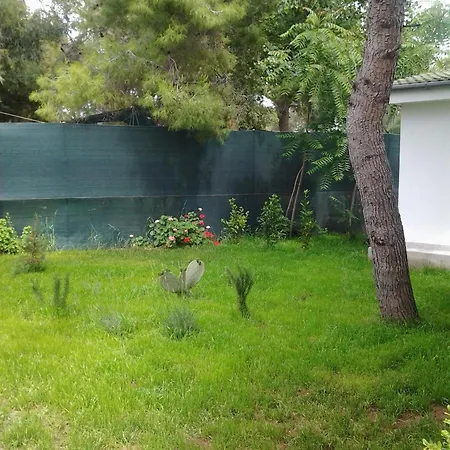 Aparthotel Le Orchidee Vieste